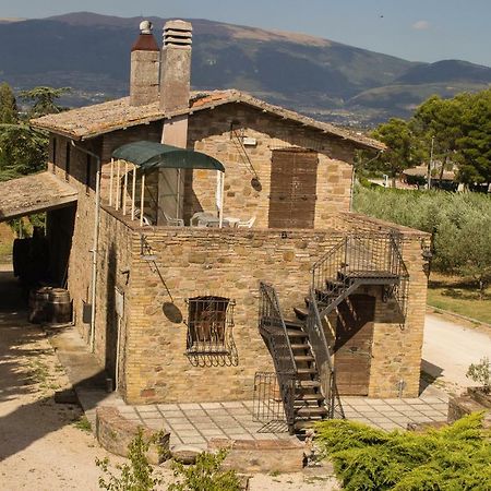 Country House Carmelita Limigiano المظهر الخارجي الصورة